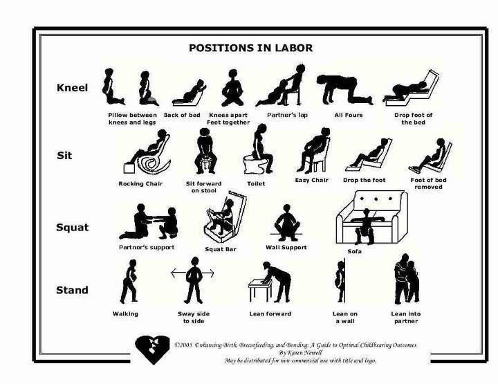 an image of positions in labor