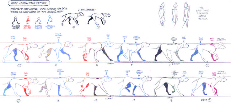 an image of a diagram of different body shapes and positions in the shape of horses