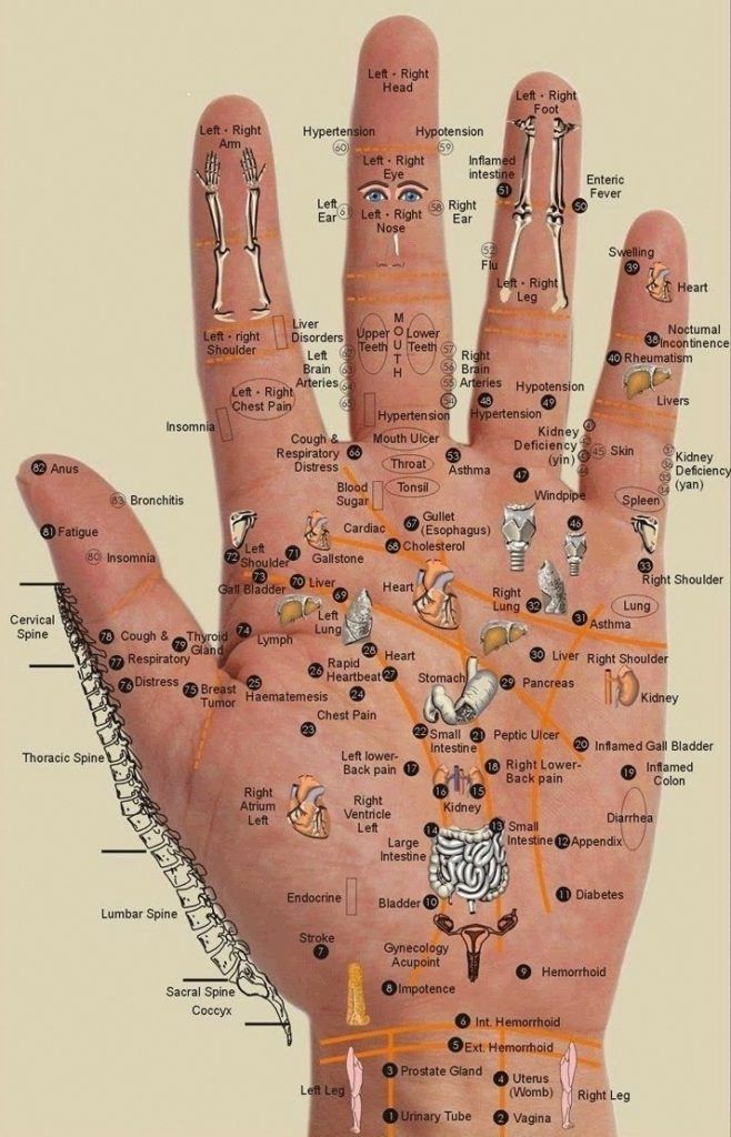 Hand chart in different styles that illustrate the acupressure points /reflex zones on the hands and their link to organs. Bolesti Chrbta, Hand Reflexology, Reflexology Chart, Reflexology Massage, Foot Reflexology, Acupressure Points, Trening Abs, Massage Techniques, Pressure Points