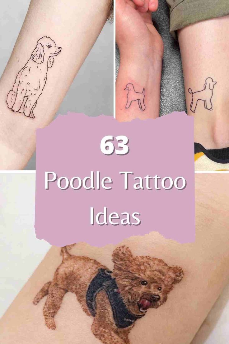 four different tattoo designs with the words, 63 poodle tattoo ideas