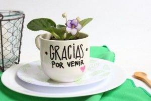 a small potted plant sitting on top of a white plate