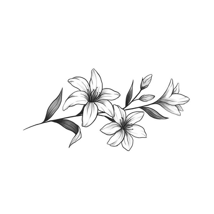 a black and white drawing of flowers on a white background