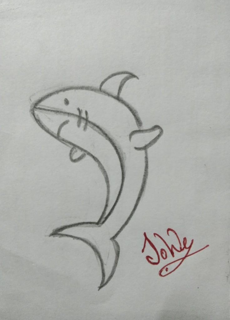 a drawing of a shark with the word sole written on it's back side