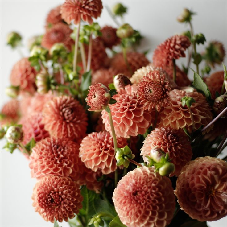 a vase filled with lots of pink flowers on top of a white table next to a wall