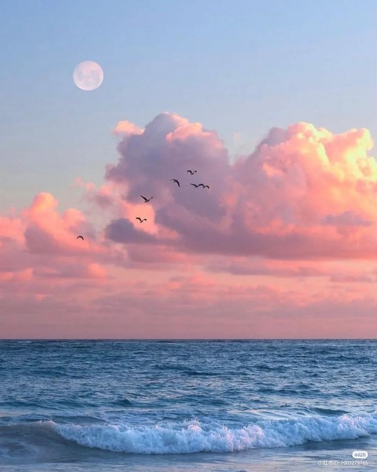 birds flying over the ocean at sunset with pink clouds and moon in the sky above