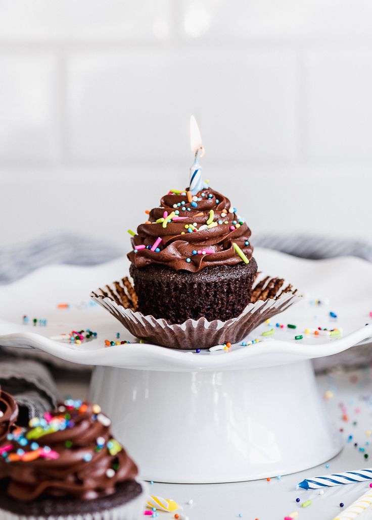 cupcakes with chocolate frosting and sprinkles on a white plate