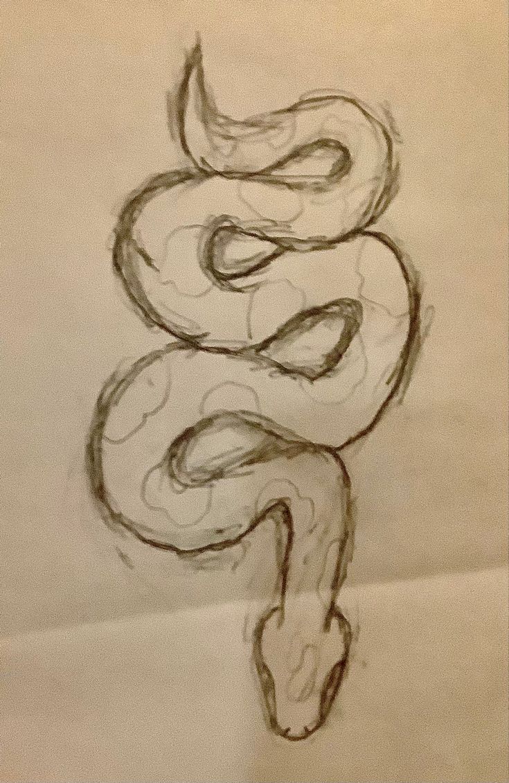 a drawing of a snake on a piece of paper