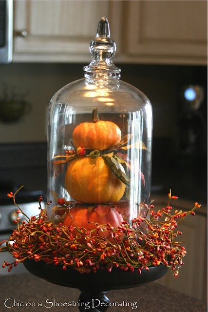 a glass clochel filled with pumpkins and berries