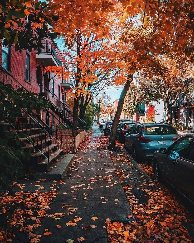 an autumn scene with leaves on the ground and cars parked along the sidewalk in front of houses