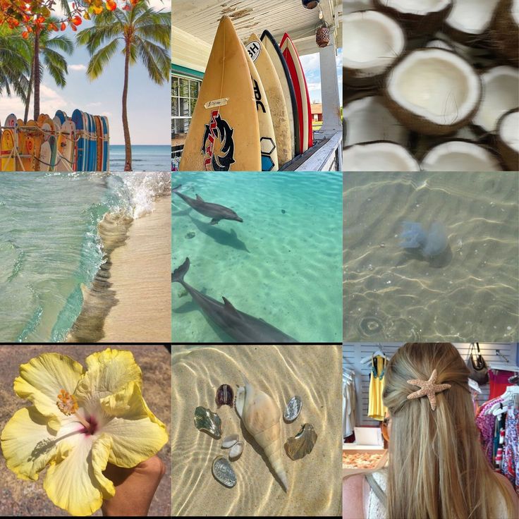 there are many pictures with different things in the same photo, including flowers and surfboards