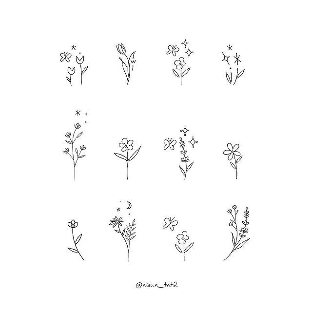 the different types of flowers drawn by hand