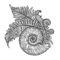 an ink drawing of a snail and fern leaves