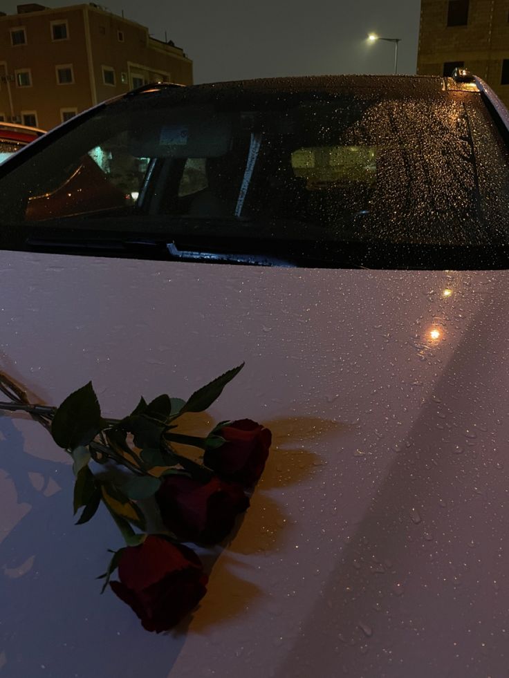 a bouquet of roses is placed on the hood of a white car with rain drops