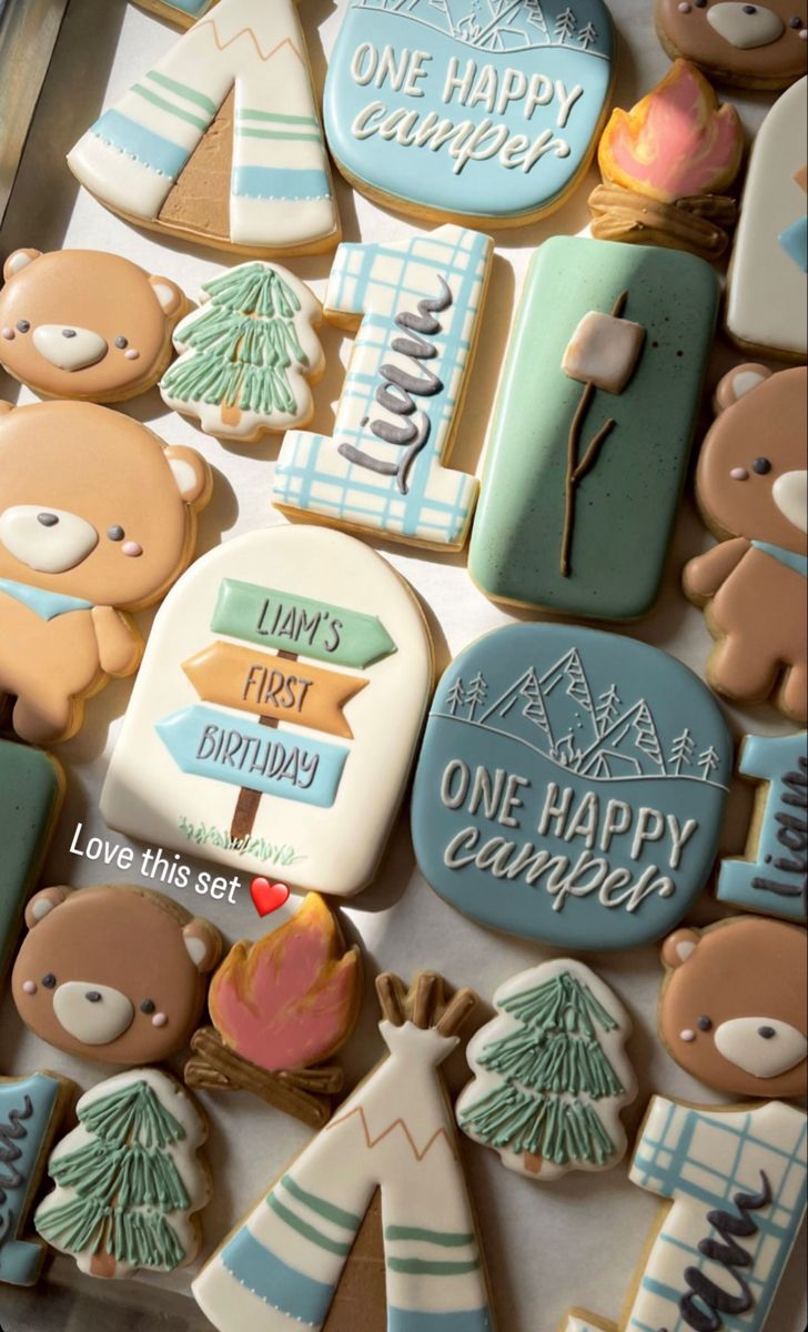 decorated cookies in the shape of teddy bears and campfires with words on them