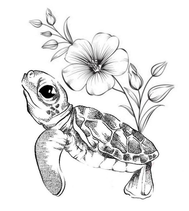 a drawing of a turtle and flowers