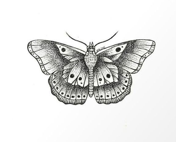 a black and white drawing of a butterfly