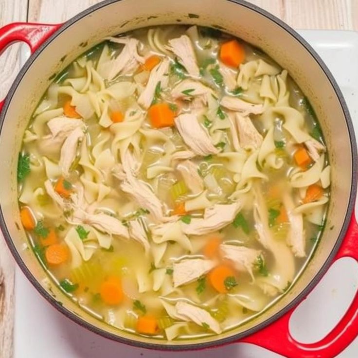 a pot filled with chicken noodle soup on top of a stove