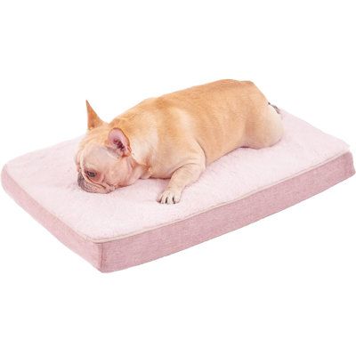 a small brown dog laying on top of a pink pillow with its head resting on it's side