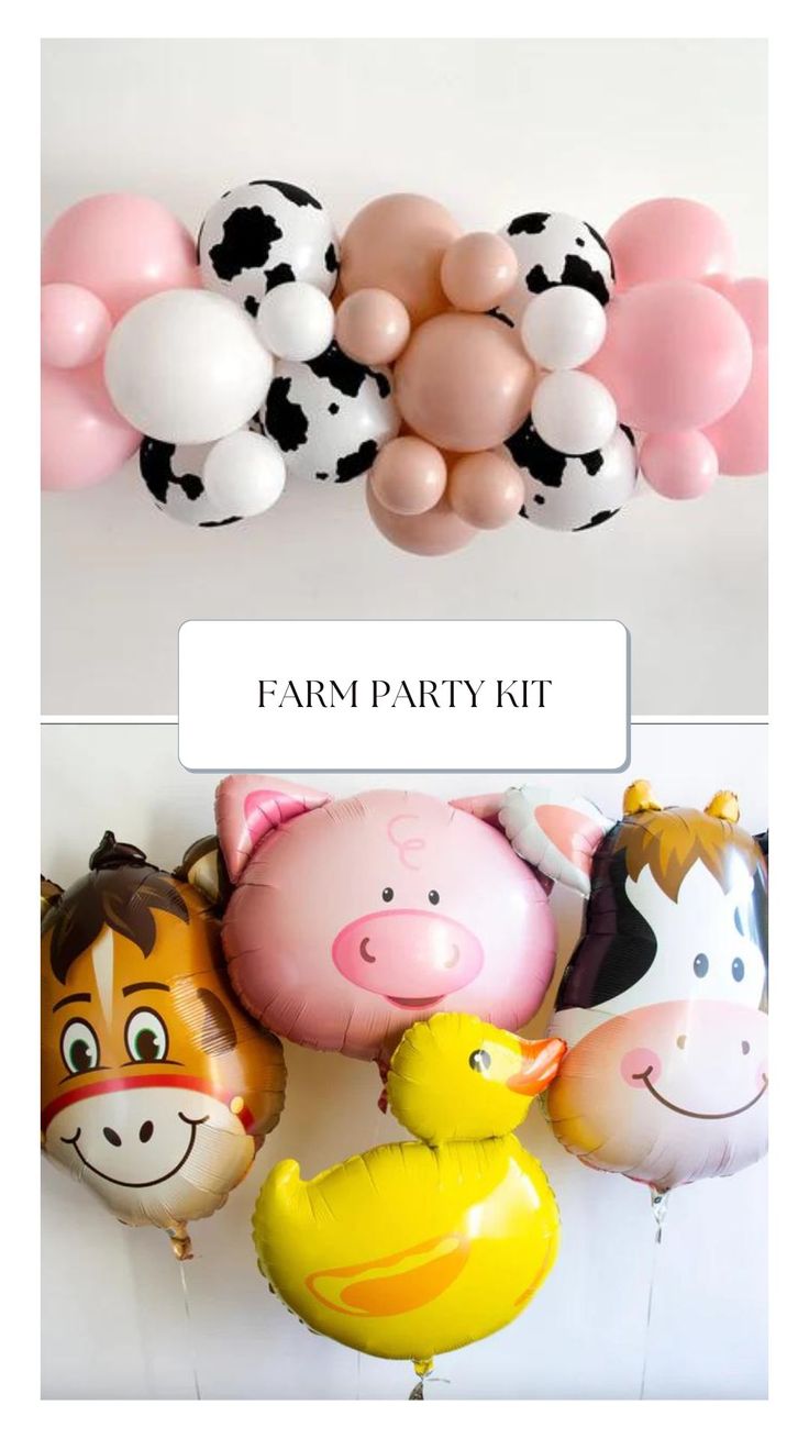 farm party kit with balloons, rubber ducks and farm animals on the wall for decoration