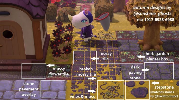 an animal crossing game with lots of information about the animals and their locations in it