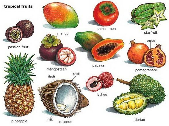 an image of tropical fruits labeled in english