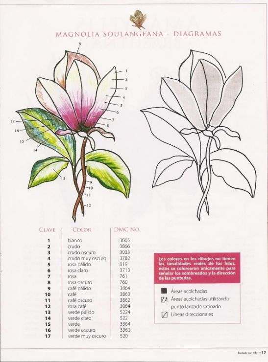 an image of some flowers that are on the page with words in english and spanish