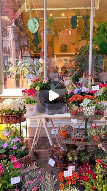 a flower shop with lots of potted plants