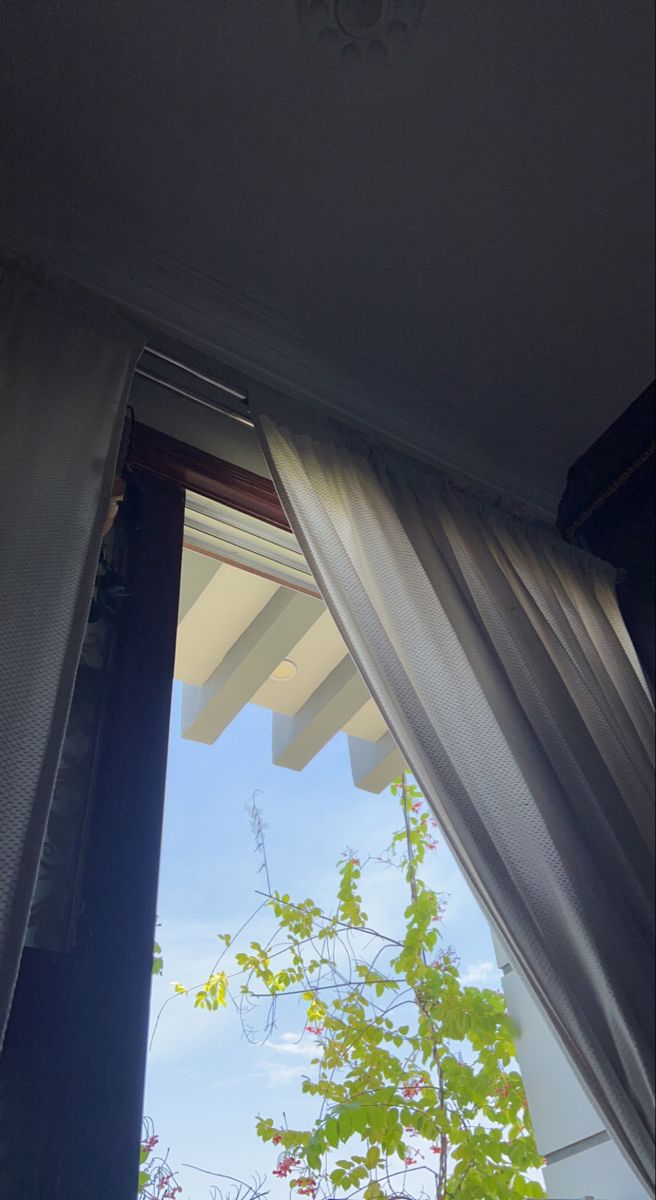 an open window with white curtains and trees in the back ground, looking out at blue sky