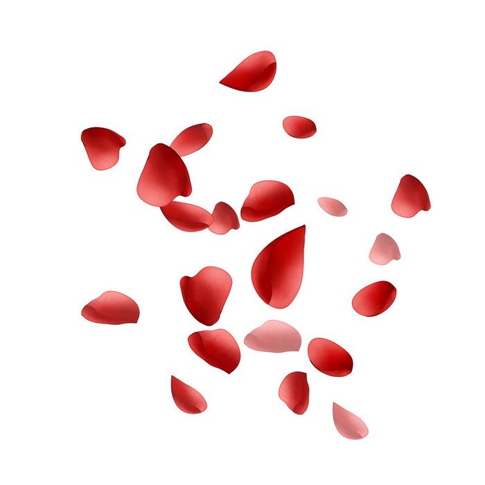 red petals falling down into the air on a white background