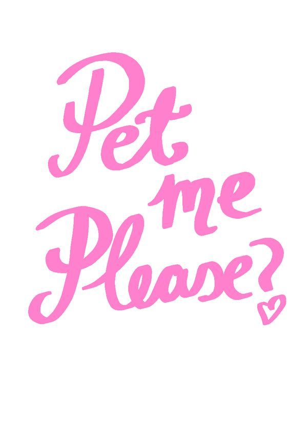 the words pet me please written in pink on a white background