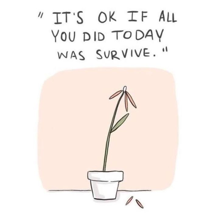 a flower in a pot that says it's ok if all you did today was survive