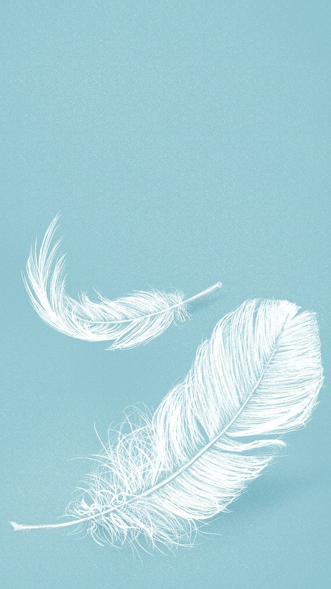 two white feathers on a blue background