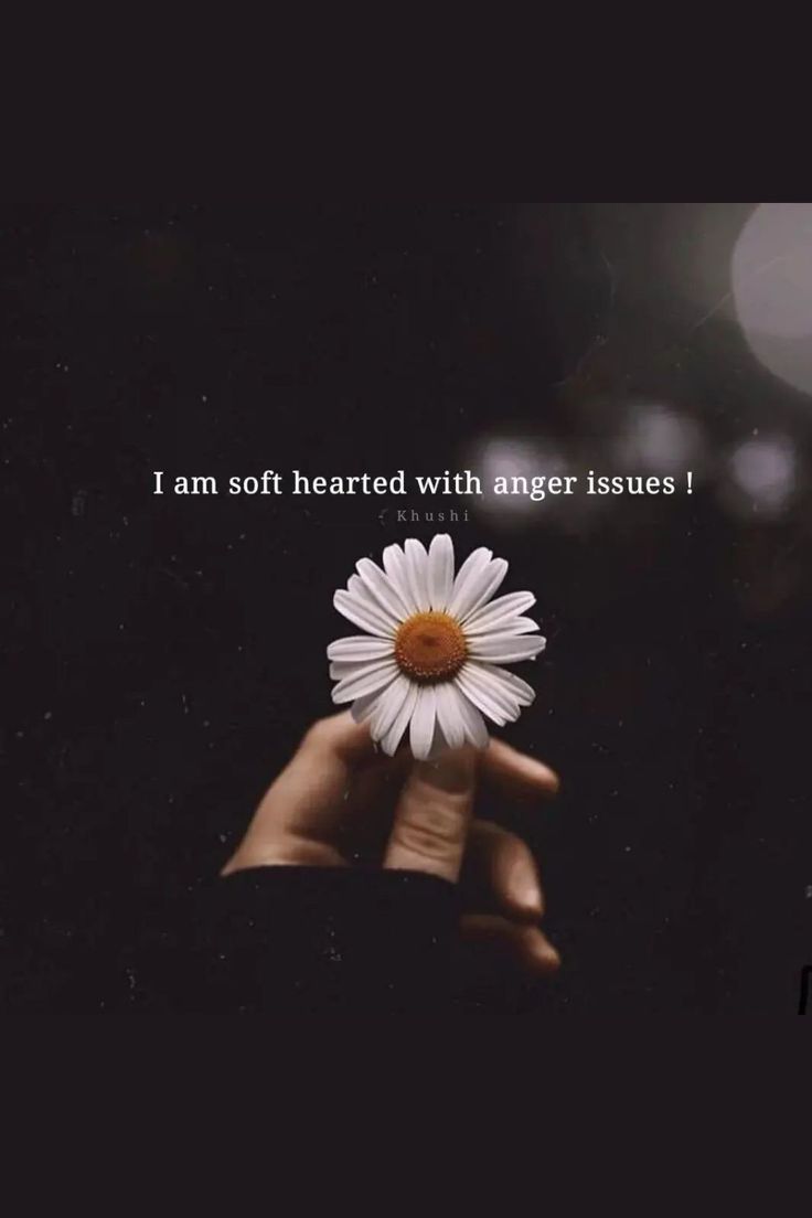 someone holding a flower with the words i am soft hearted with anger issues