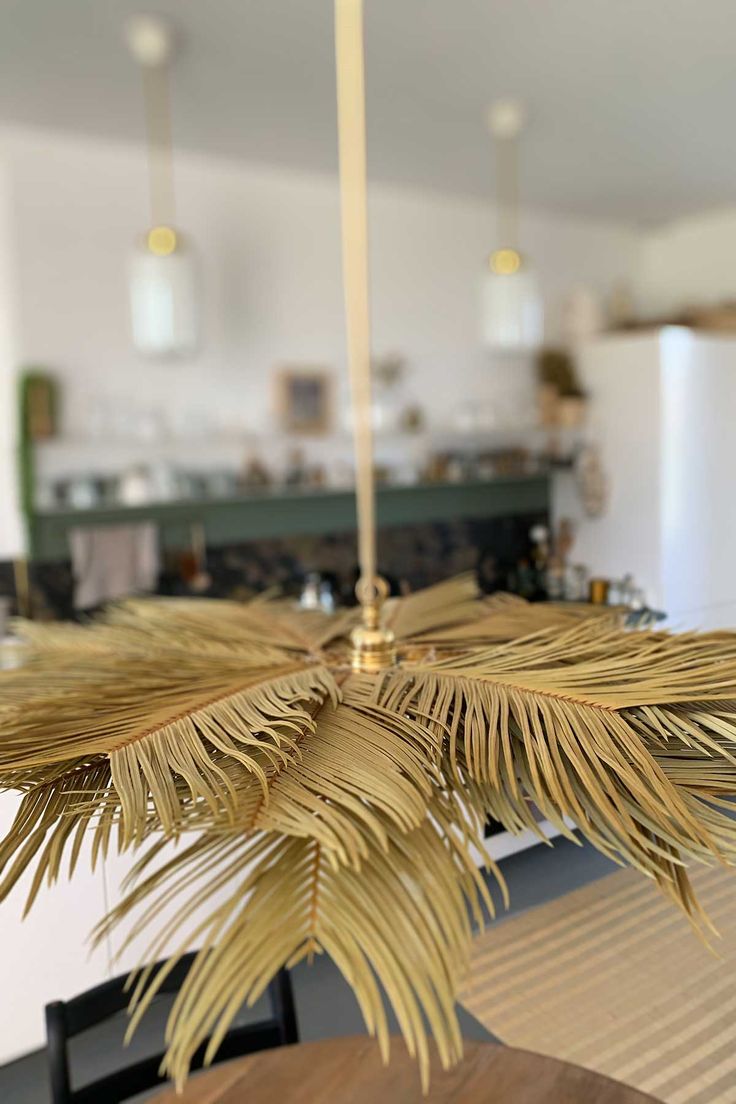 a palm leaf chandelier hanging from a ceiling in a living room or dining room