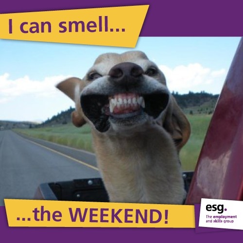 a dog with its mouth open and the words i can smell the weekend