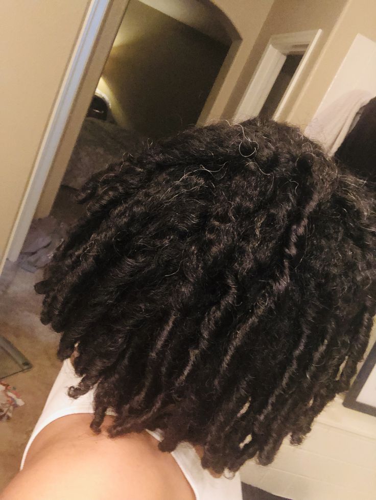 Locs on 3b/3c hair Curly Freeform Locs, 3b Hair Locs, Locs 3b Hair, 3b Locs Natural Hair, Starter Locs On 3b/3c Hair, 3c Locs Natural Hair, Locs On 3b Hair, Locs On 3c Hair, 3b Locs