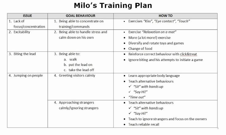 a table with the words mio's training plan written in black and white