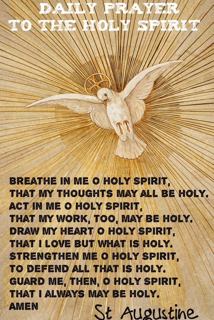 Prayer To The Holy Spirit, Come Holy Spirit, Holy Spirit Prayer, Catholic Beliefs, Special Prayers, A Course In Miracles, Christian Prayers, Beautiful Prayers, Prayer Verses