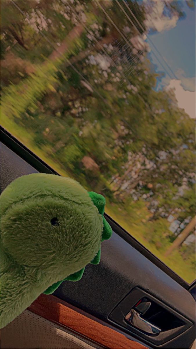 a stuffed animal sitting in the passenger seat of a car with trees in the background