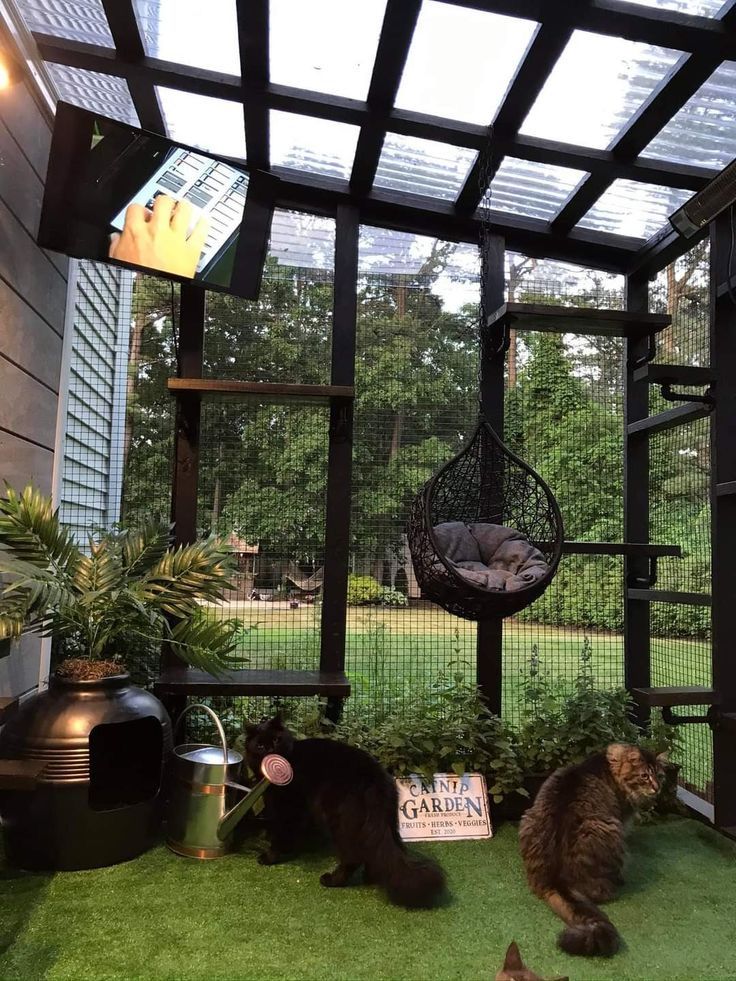 two cats sitting on the grass in front of a caged area with a bird feeder