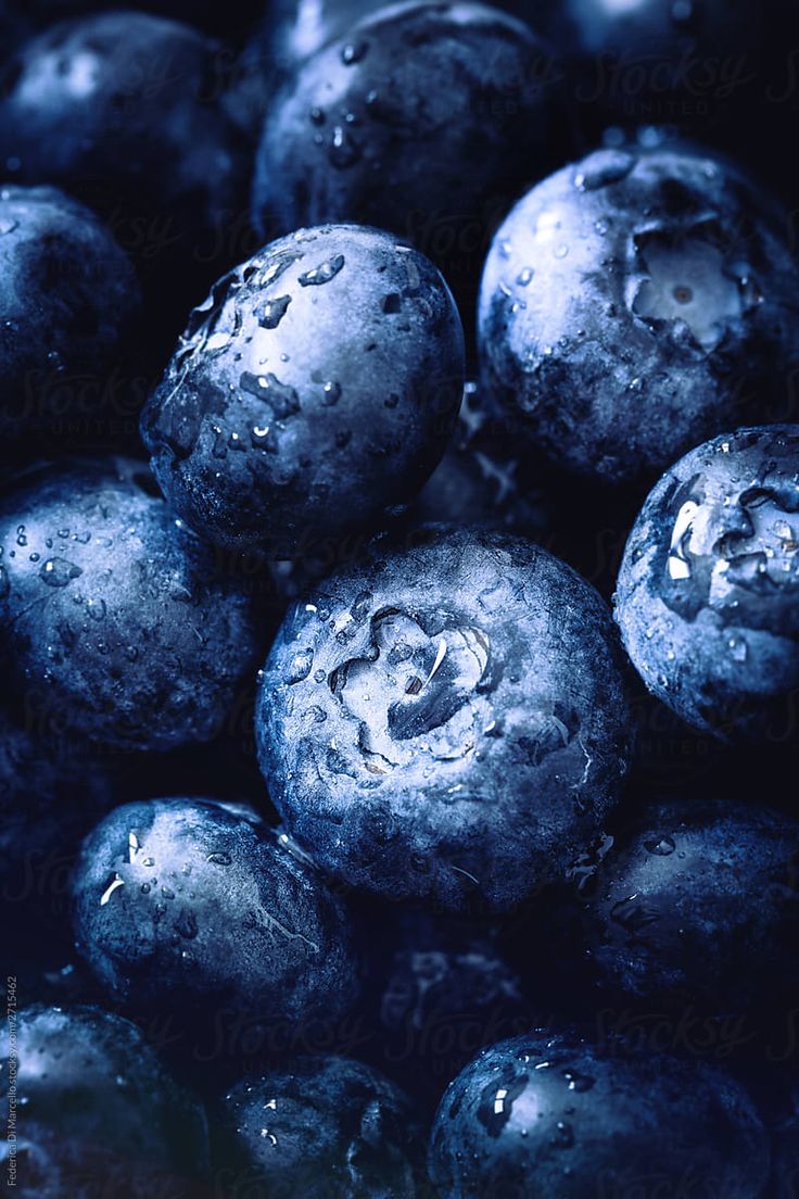 blueberries with drops of water on them by luke vandermeer for stocksy