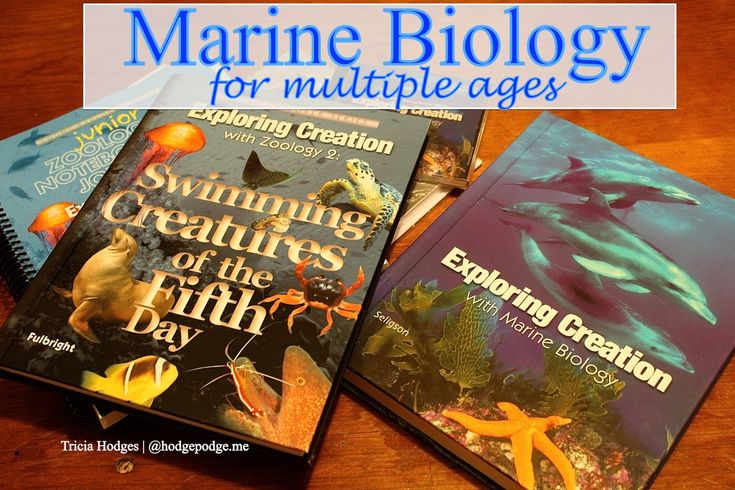 three books on marine biology for multiple ages sitting on a table with text overlay that reads, swimming creatures of the fifth day