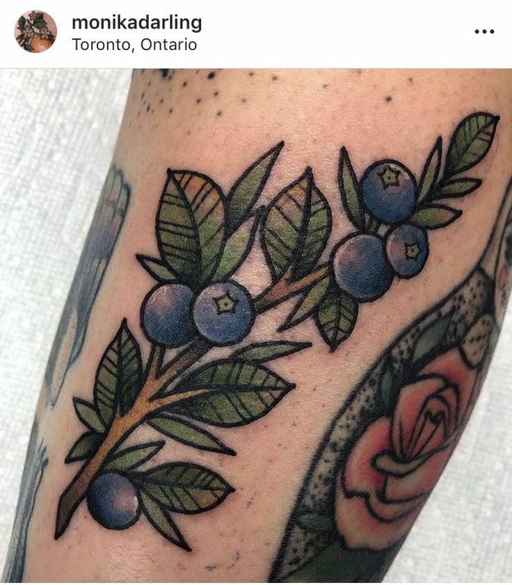 a tattoo with blueberries and leaves on it