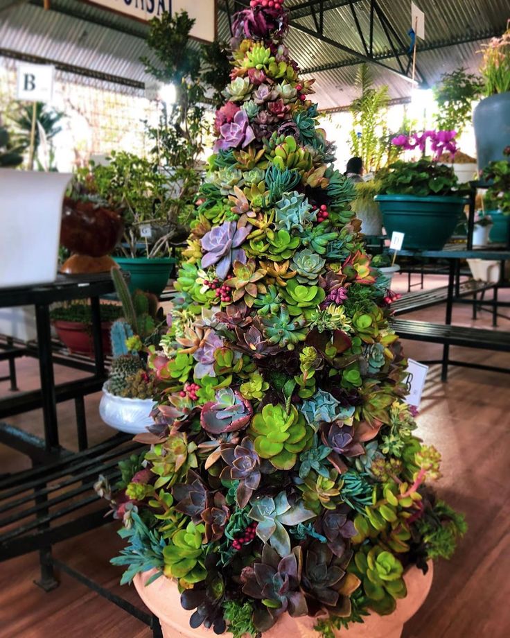 a large potted plant with lots of succulents in it's center