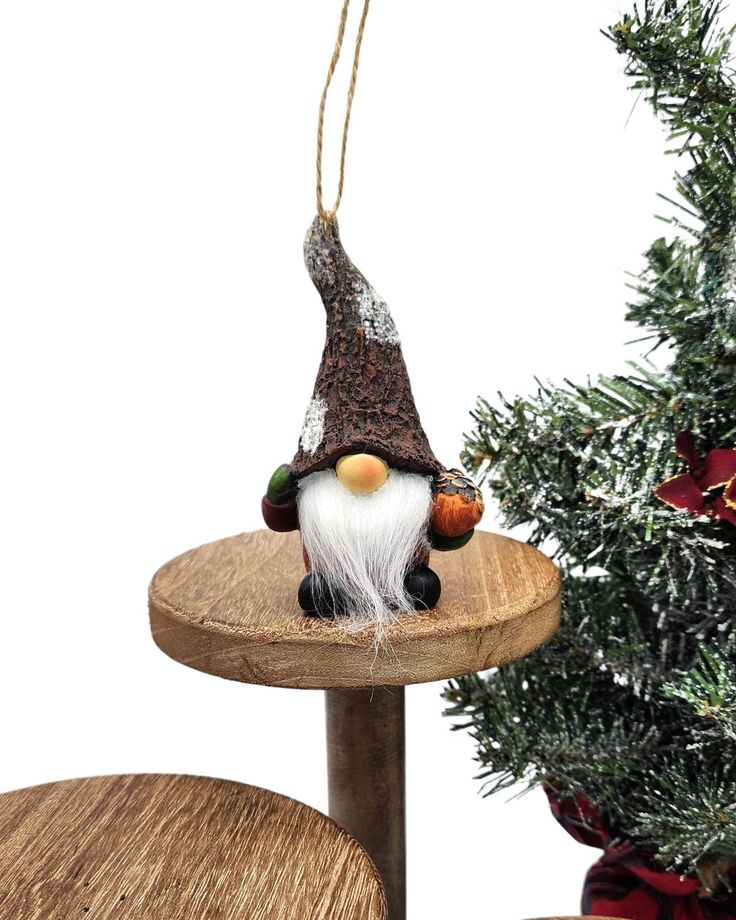 a gnome ornament hanging from a tree