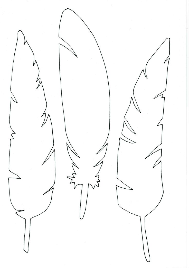 three different types of feathers are shown in this drawing technique, one is black and the other is white