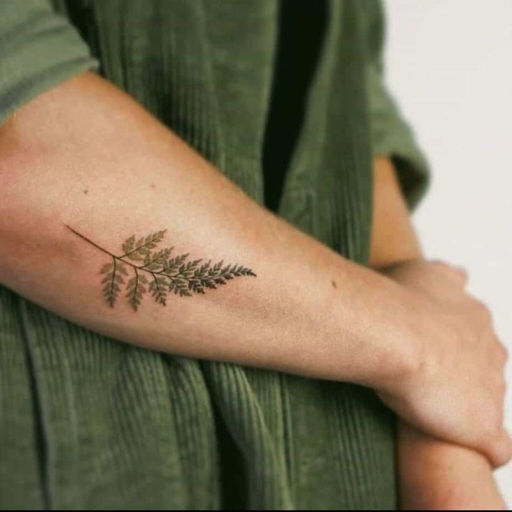 a woman's arm with a tattoo on it that has a fern leaf on it