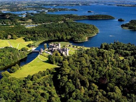 an aerial view of a castle in the middle of trees with water and land around it