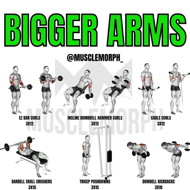 an image of a man doing exercises for bigger arms