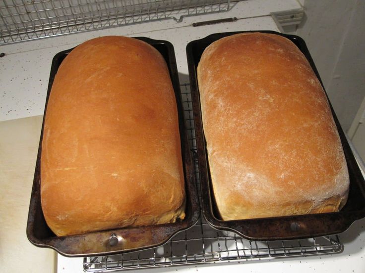 two loafs of bread sitting on top of an oven rack next to each other